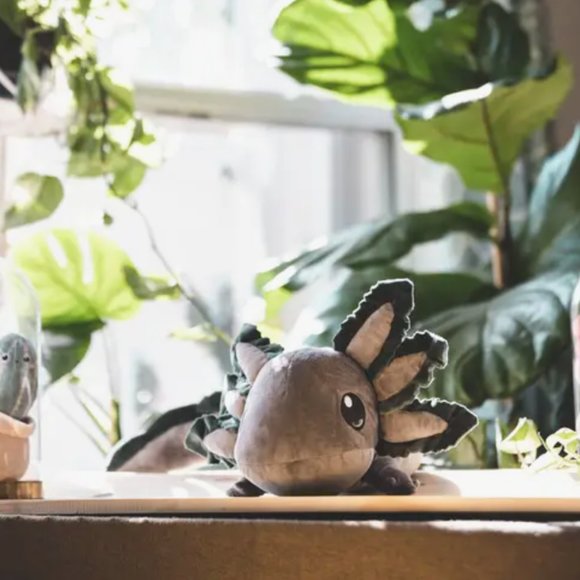 Gray Realistic Axolotl Plush - Picture 4 of 8